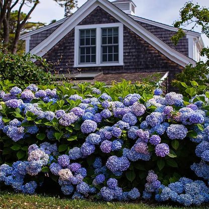 UV Resistant Artificial Hydrangea Flower Bundles for Outdoor Decor