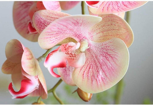 Artificial Flower Waterproof Faux Orchids Plastic Leaves Artificial Phalaenopsis Flowers with Porcelain Vase Artificial Flowers Decoration Beautiful Shape,