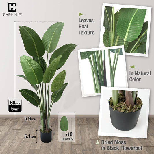 CAPHAUS 5FT Artificial Bird of Paradise Tree, UV Resistant Potted Fake Plant with Dried Moss for Indoor Outdoor Use, Realistic Floor Plant for Home Office Corner Decor, No Maintenance
