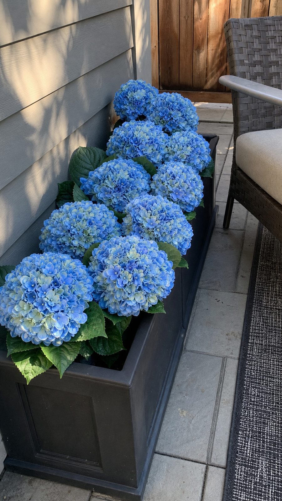 Customer photo of artificial hydrangea flower balls