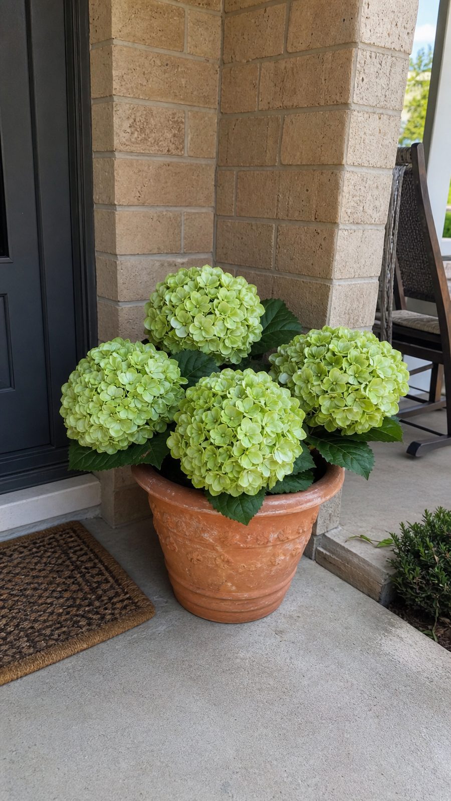 Customer photo of artificial hydrangea flower balls