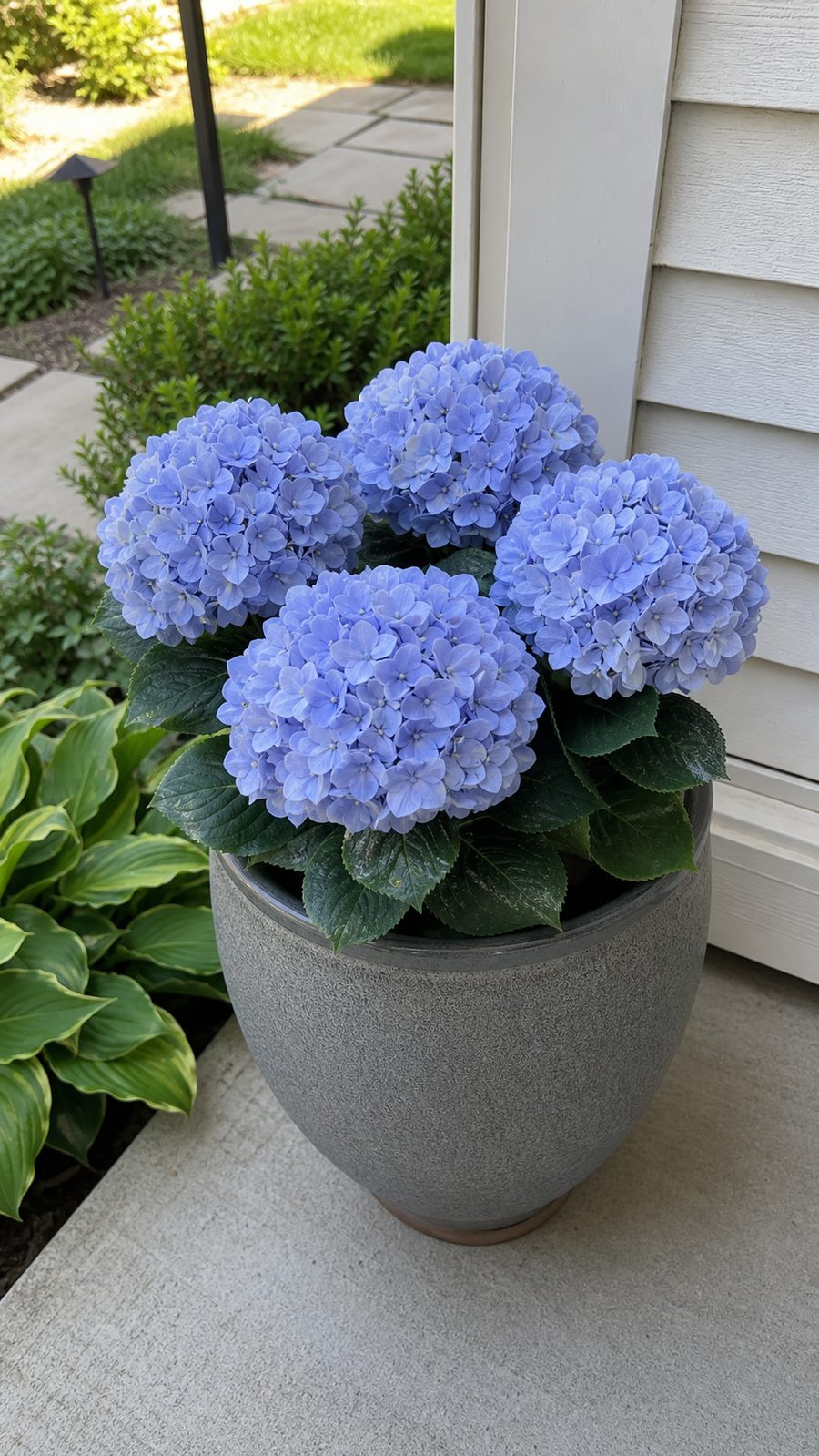 Customer photo of artificial hydrangea flower balls