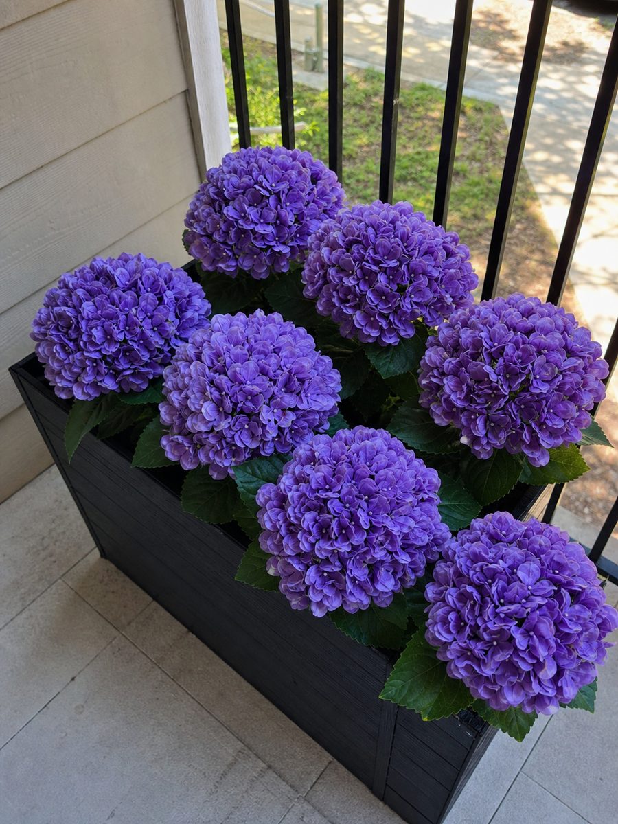 Customer photo of artificial hydrangea flower balls